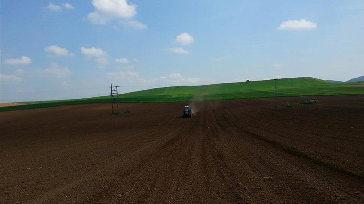 Νέα Αριστερά: «Η λύση υπάρχει: Χρηματοδότηση του Μέτρου 23 με εθνικούς πόρους τώρα»