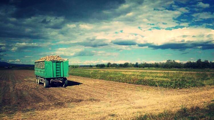 «Χωρίς καλλιέργεια και ΕΒΖ το ΥΠΑΑΤ δίνει συνδεδεμένη στα τεύτλα στη νέα ΚΑΠ»