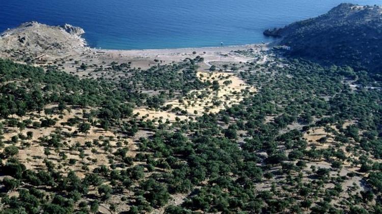  Σ. Φάμελλος: Η Σαμοθράκη μπορεί να αποτελέσει πρότυπο αειφόρου ανάπτυξης​