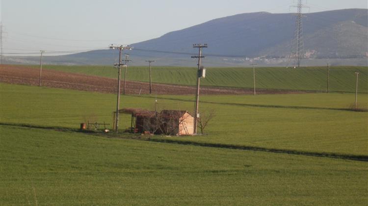 Δόθηκε παράταση για το αγροτικό τιμολόγιο