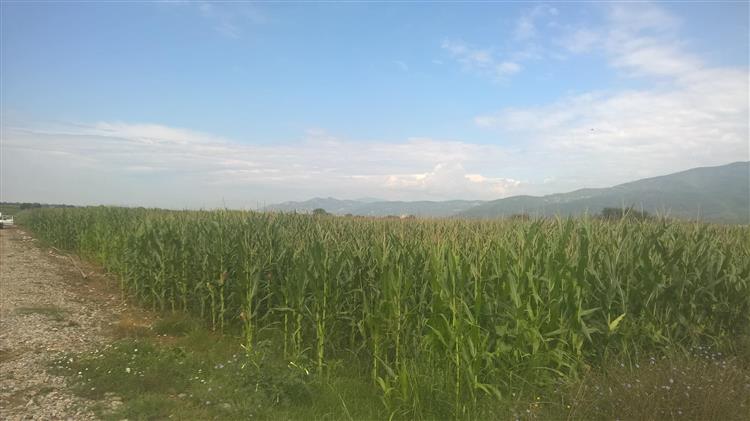 Το 98% της γης στην Περιφέρεια Ανατολικής Μακεδονίας-Θράκης έχει ήδη αποκατασταθεί από τον ΤΑΡ 