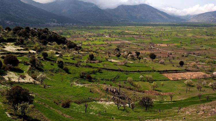 Κονδύλι για αρδευτικά δίκτυα στο Οροπέδιο Λασιθίου