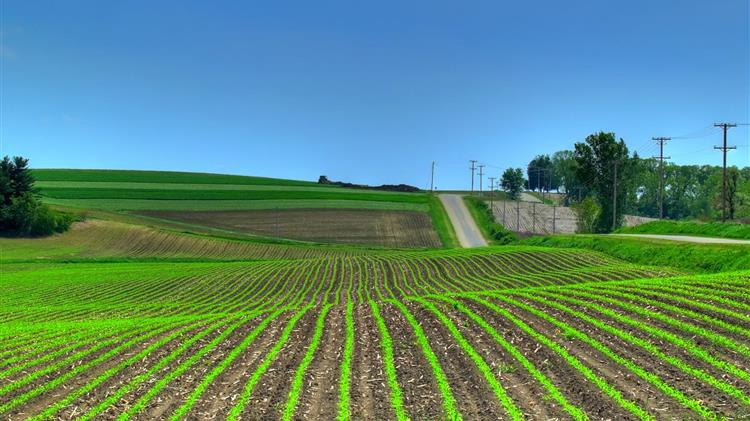 ΟΠΕΚΕΠΕ: Ενημέρωση και διευκρινήσεις για τις ασυμβατότητες στα οικολογικά προγράμματα της ΚΑΠ