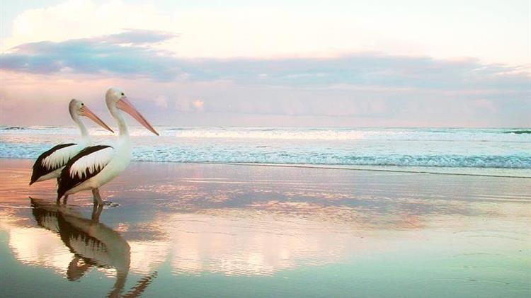 Επενδύσεις ύψους 250 εκατ. ευρώ στο περιβάλλον, τη φύση και τη δράση για το κλίμα