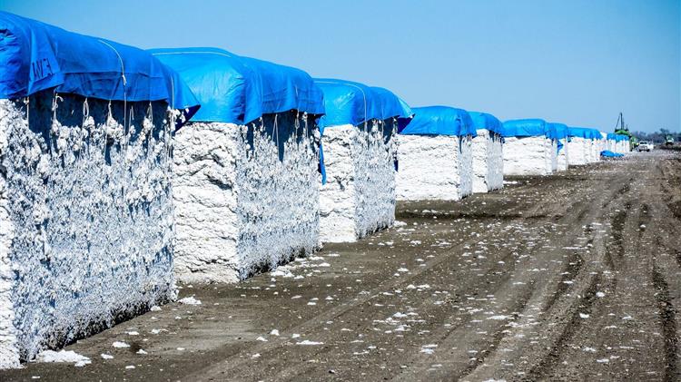 ΟΠΕΚΕΠΕ: μέσα σε 10 μέρες οι πληρωμές των συνδεδεμένων