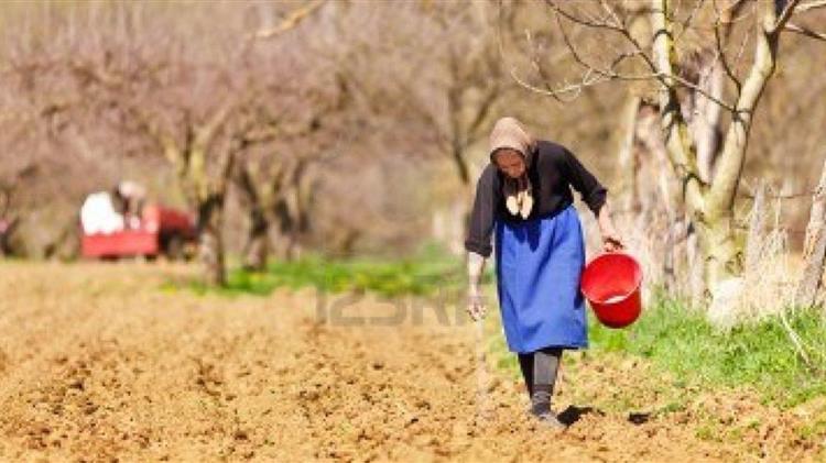 Ενεργοποίηση ψηφιακής πλατφόρμας για τρίτεκνες μητέρες πρώην ασφαλισμένες ΟΓΑ