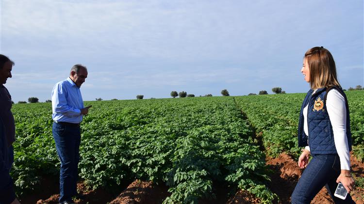Απ. Κατσιφάρας : Ραχοκοκαλιά της ανάπτυξης της υπαίθρου οι Ελληνίδες αγρότισσες 
