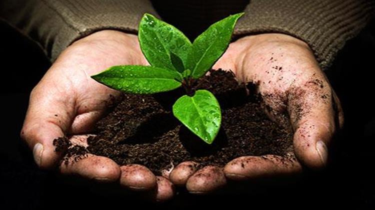 Γάλλοι μαθητές σε αναζήτηση του καλύτερου κομπόστ