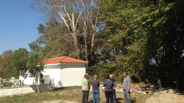 Σοβαρός κίνδυνος για το περιβάλλον η ασθένεια των πλατανιών