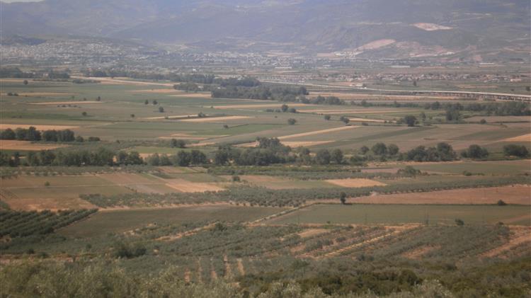 Nα δώσει η κυβέρνηση ολόκληρη την επιδότηση στους παραγωγούς μέχρι την οριστική  κύρωση των δασικών χαρτών  