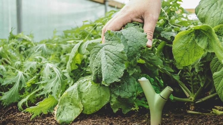 Γίνονται δράσεις για την Παγκόσμια Ημέρα Εδάφους
