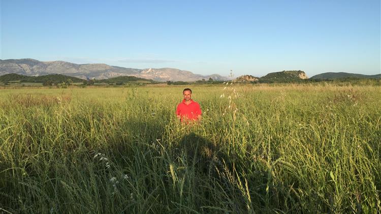 Oι μετανάστες αποτελούν το 90% της  μισθωτής εργασίας  στην Ελληνική γεωργία 