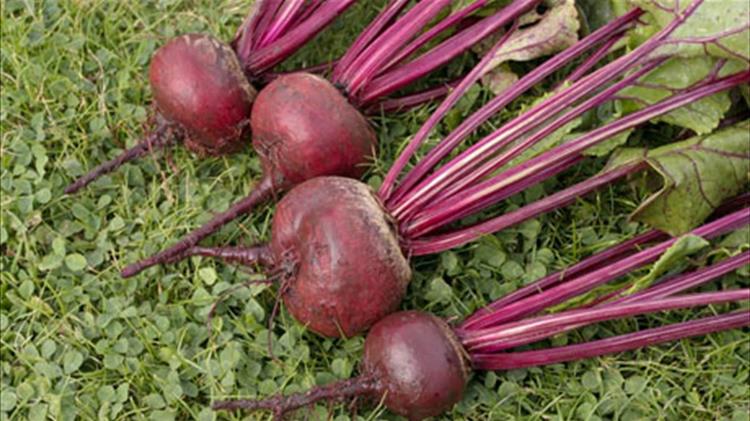 Παντζάρια: Ένα λαχανικό με πλούσια οφέλη για την υγεία