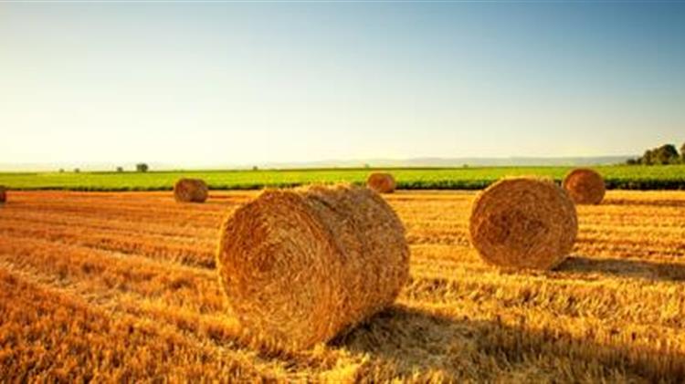 Στήριξη στην αγροτική έκθεση