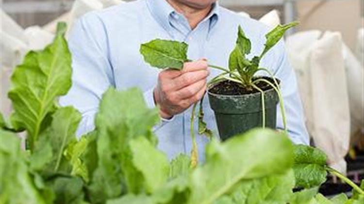 REE Gives the Gift of Agricultural Research and Innovation in 2018