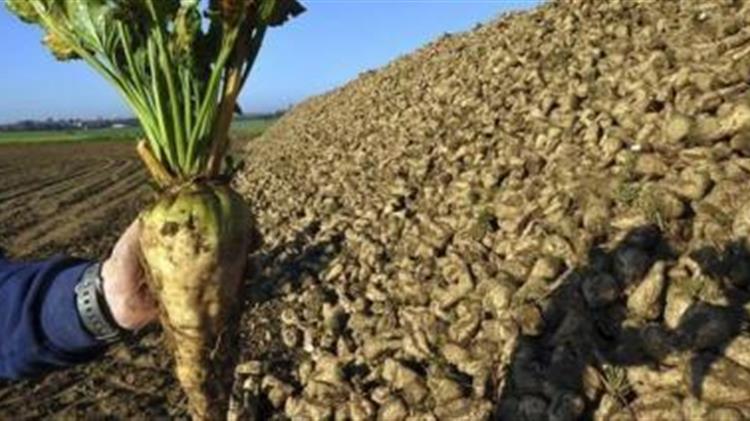 Α. Δημοσχάκης: για τους τευτλοπαραγωγούς