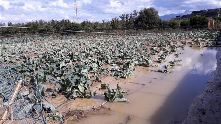 Ανάγκη για ενίσχυση του ΕΛΓΑ με τη σύμπραξη ιδιωτικών ασφαλιστικών εταιρειών