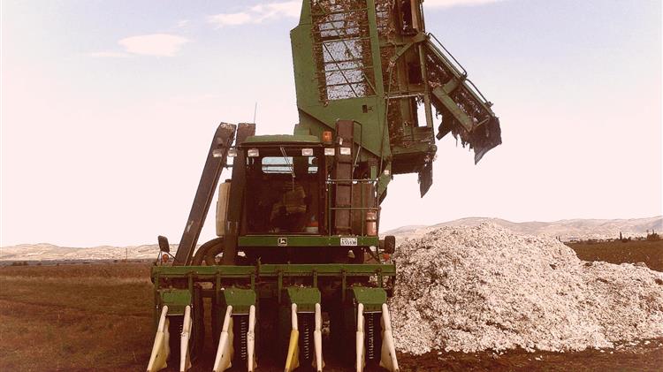 Λιβανός: Εκσυγχρονισμός εκκοκκιστηρίων με χρηματοδότηση μέσω Αναπτυξιακού