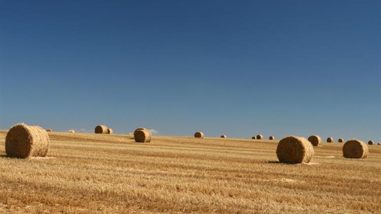 The Commission's inconvenient truth