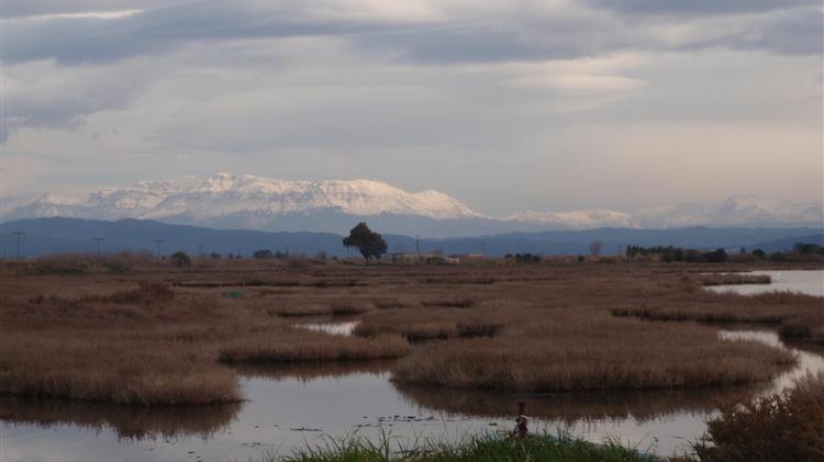 H σημασία των υγροτόπων για τη διατήρηση της βιοποικιλότητας