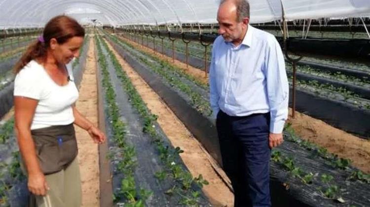 Χρονιά στήριξης των νέων αγροτών το 2018 