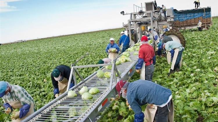 Ρύθμιση διαμονής πολιτών τρίτων χωρών στην ελληνική επικράτεια