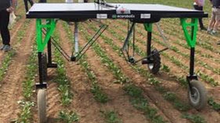 Ρομπότ για την καταπολέμηση των ζιζανίων