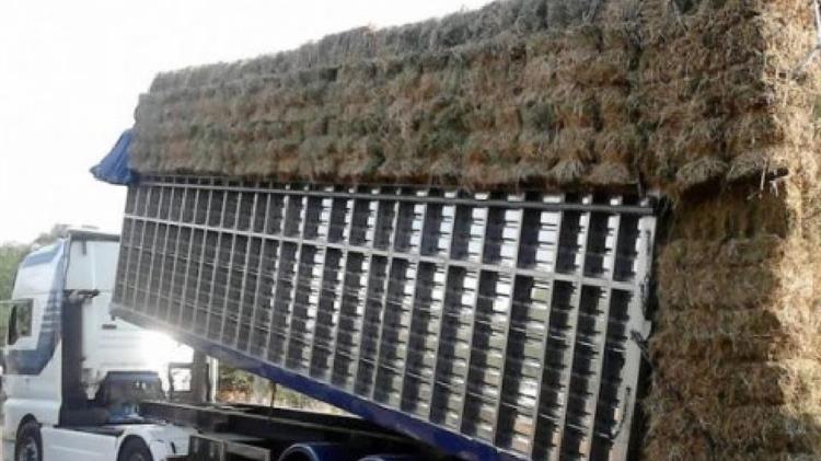 ΦΕΚ παράτασης θητείας οργάνων διοίκησης και εποπτείας συνεταιρισμών