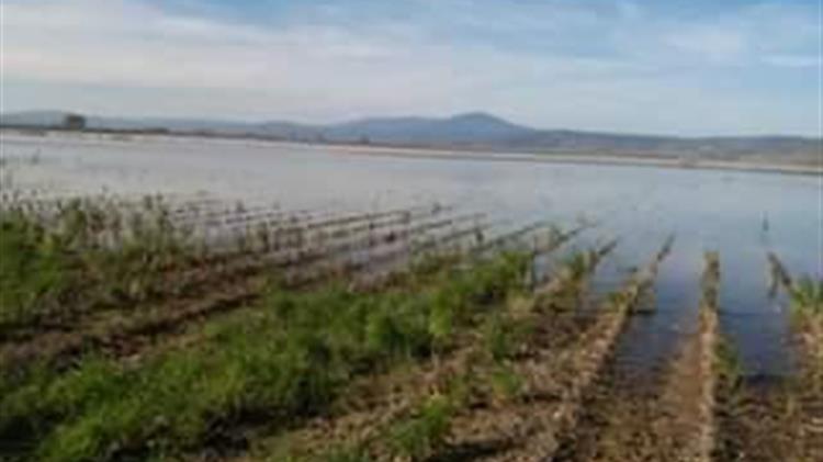 Αιτήσεις δήλωσης ζημιάς σε γεωργικές εκμεταλλεύσεις