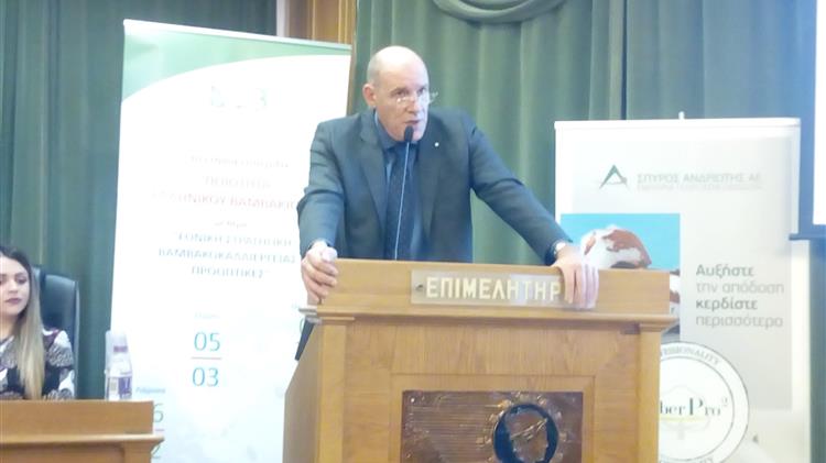 Το βαμβάκι αποτελεί την προμετωπίδα των εξαγωγών της εγχώριας αγροτικής παραγωγής