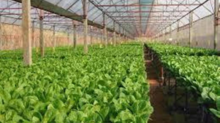 Εκκρεμεί 4 χρόνια η ΚΥΑ για νέες Αγορές Βιοκαλλιεργητών