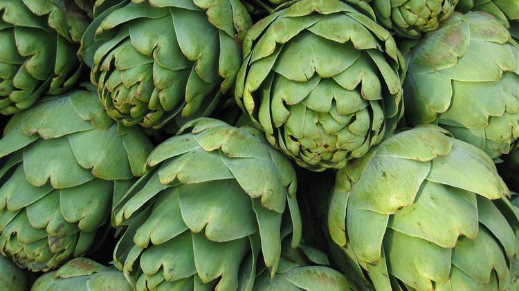 Γιορτή Αγκινάρας