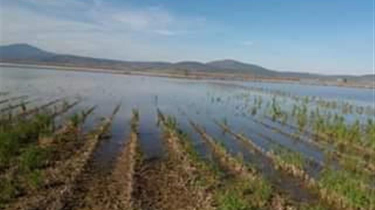 Οι αγρότες πνίγηκαν στη λίμνη της Κωπαΐδας