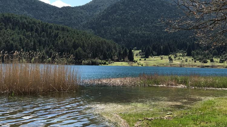 Ευρωπαϊκή Ημέρα Natura 2000