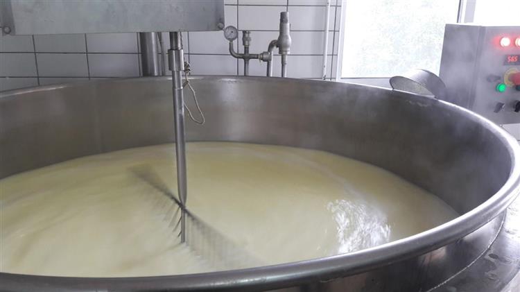 Taste Atlas: Πέντε ελληνικά τυριά στη λίστα με τα 10 καλύτερα κατσικίσια τυριά στον κόσμο