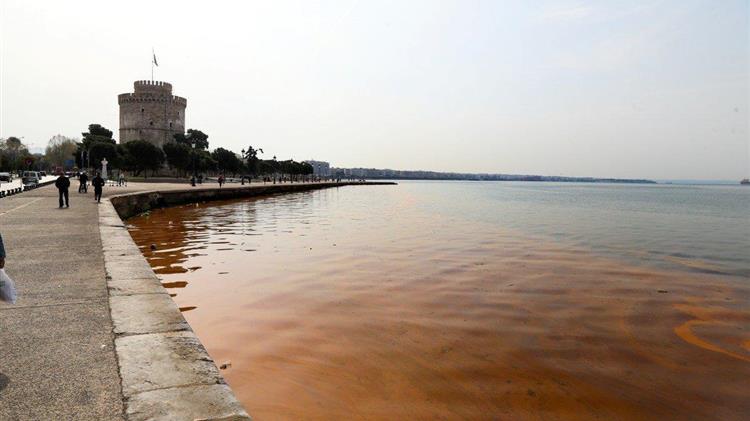 Η Ερυθρά παλίρροια επέστρεψε στον Θερμαϊκό