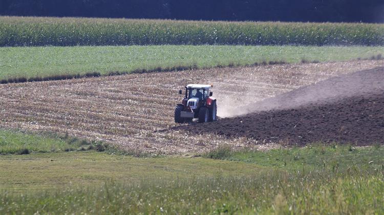 Απαλλαγή κατά ποσοστό 50% επί του φόρου εισοδήματος για επαγγελματίες αγρότες