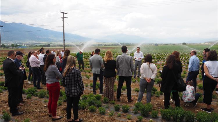 4ο Sustainable Talks “Ανάπτυξη μέσω της Συνεργασίας”