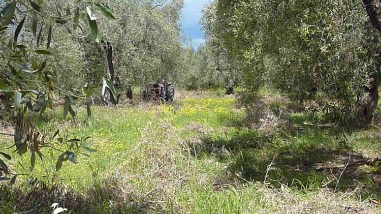 AGROinLOG: Θετικά τα συμπεράσματα της ανοιχτής επιδεικτικής δράσης