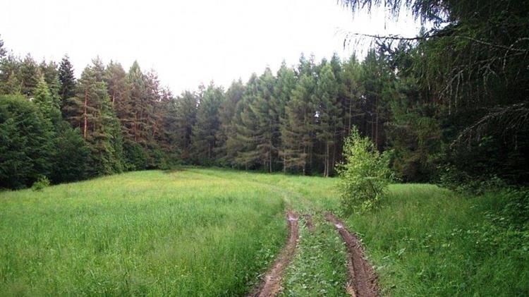 ‘’Χάνονται οι επιδοτήσεις που δικαιούνται οι αγρότες λόγω λανθασμένου χαρακτηρισμού των αγροτεμαχίων τους ως δασικές εκτάσεις’’ 