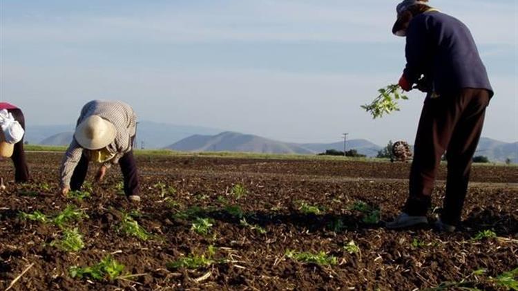 Αγρότες: Παράταση μέχρι τις 30/6 για την ασφαλιστική ικανότητα