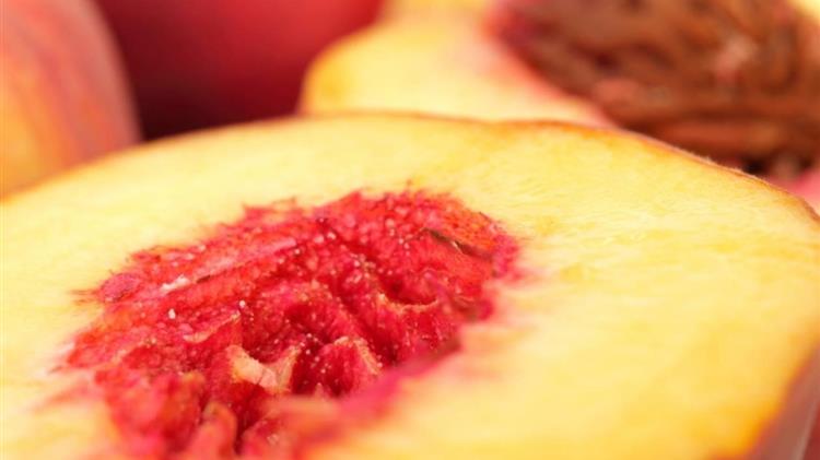 Ε.Κ.Ε: για τους αμερικανικούς δασμούς στην κομπόστα