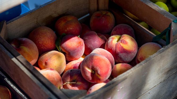 Τι προβλέπεται για την ευρωπαϊκή παραγωγή ροδάκινου-νεκταρινιού