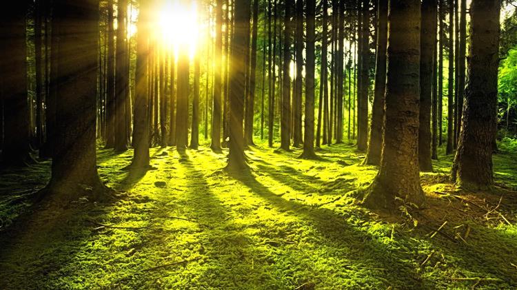 Τι συμβαίνει με την ευρωπαϊκή βιοοικονομία