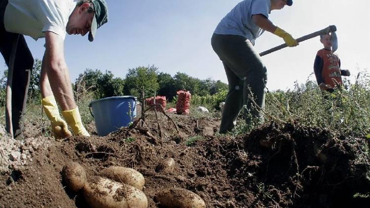 Στηρίζουμε τους αγρότες της Βόρειας Ελλάδας που επλήγησαν από τις θεομηνίες της 10ης Ιουλίου 2019
