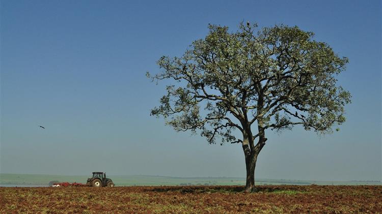 Απαλλαγή από το τέλος επιτηδεύματος για τους νέους αγρότες