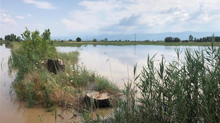 Αποζημιώσεις θα καταβάλλει σήμερα ο ΕΛΓΑ
