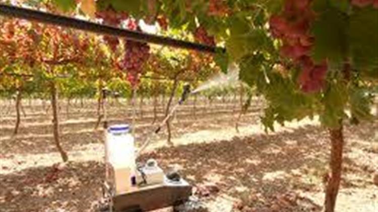 Miniature robots could cut pesticide use on farms in future