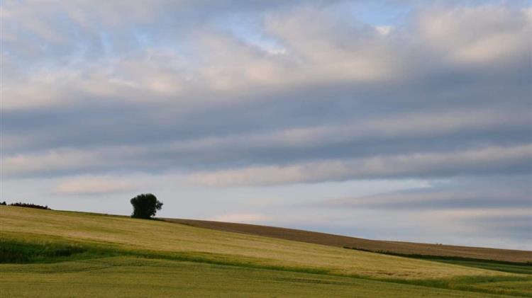 Κόκκαλης σε Τσιάρα:  Για την εγκατάλειψη του προγράμματος «Artemis II» κατά των ελληνοποιήσεων