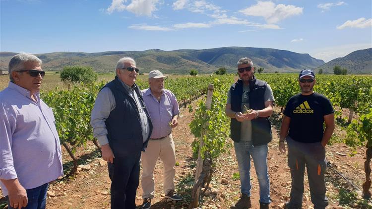 «Επίσκεψη Ν.Παπαδόπουλου στις πληγείσες από το χαλάζι καλλιέργειες του δήμου Τυρνάβου»